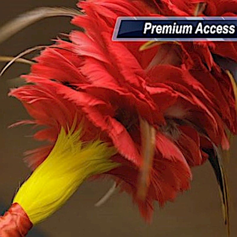 Premium Workshop - Kahili Pa'a Lima (feather kahili) Workshop Details ...